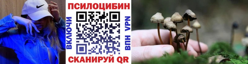 Псилоцибиновые грибы мицелий как найти Озёры